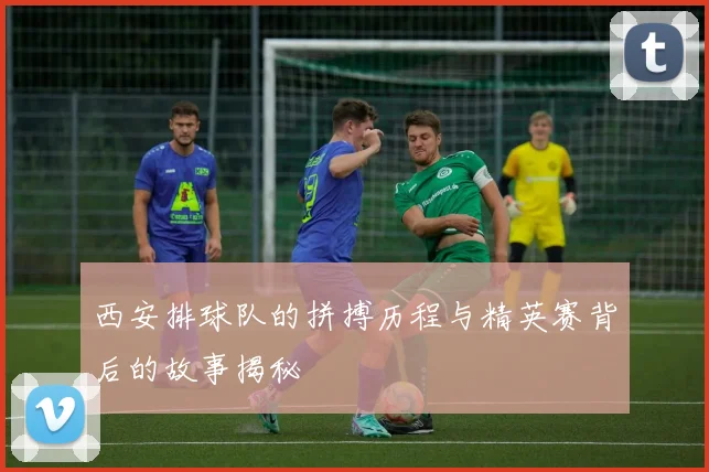 西安排球队的拼搏历程与精英赛背后的故事揭秘