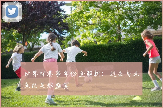 世界杯赛事年份全解析：过去与未来的足球盛宴