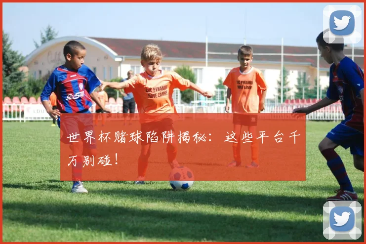世界杯赌球陷阱揭秘：这些平台千万别碰！
