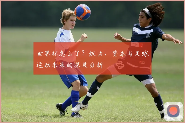 世界杯怎么了？权力、资本与足球运动未来的深度分析