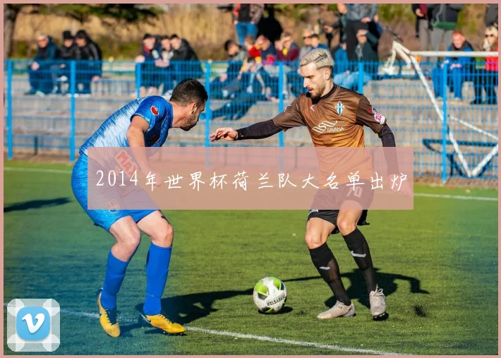 2014年世界杯荷兰队大名单出炉
