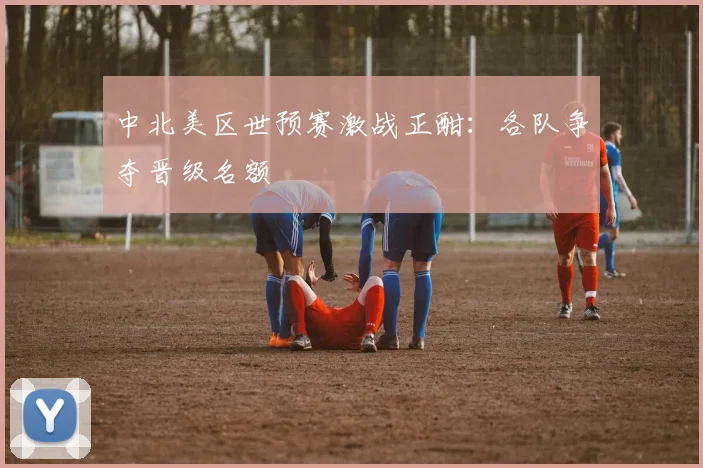 中北美区世预赛激战正酣：各队争夺晋级名额