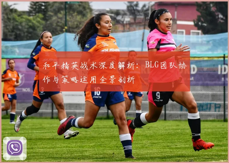 和平精英战术深度解析：BLG团队协作与策略运用全景剖析